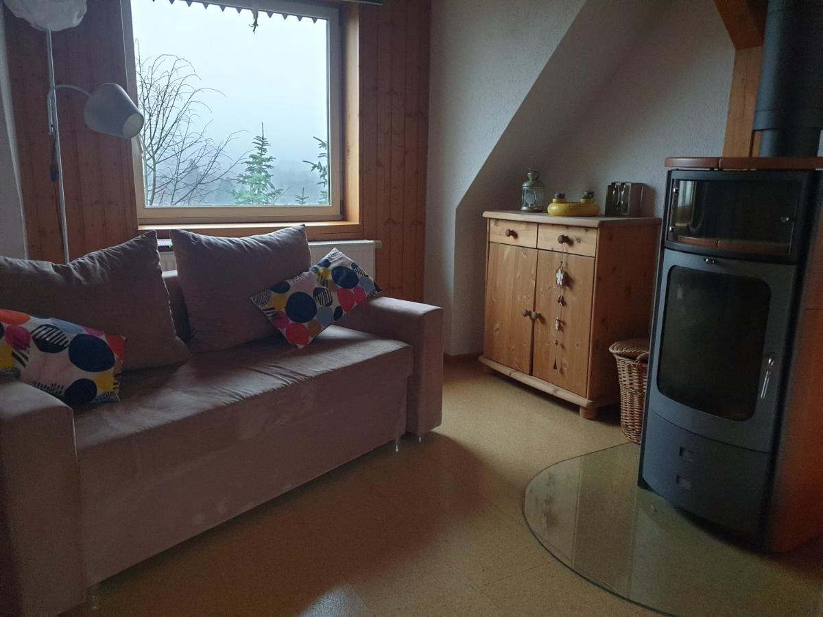 Die Gemuetliche Ferienwohnung Fuer Jedermann! Oppach ภายนอก รูปภาพ