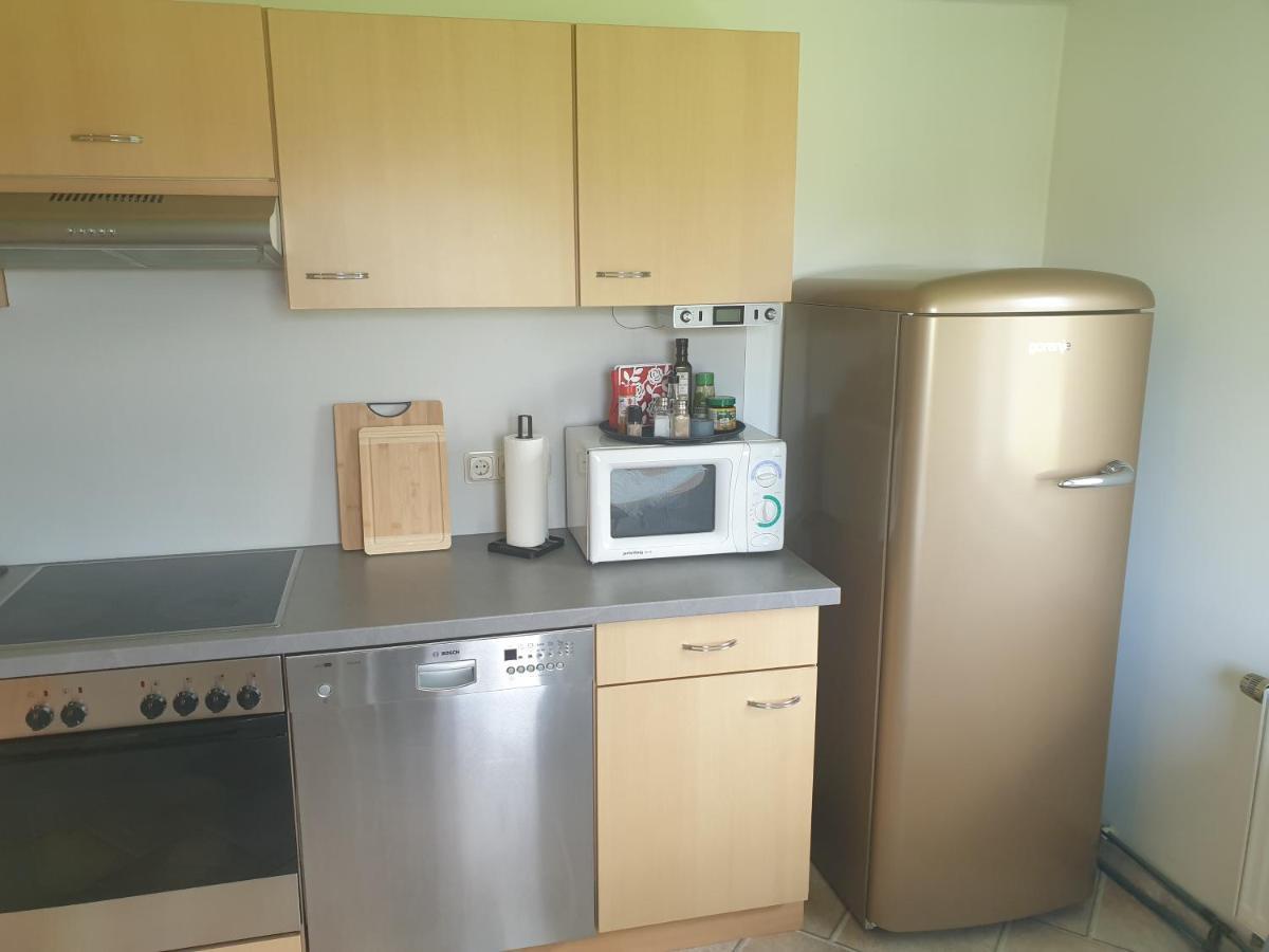 Die Gemuetliche Ferienwohnung Fuer Jedermann! Oppach ภายนอก รูปภาพ